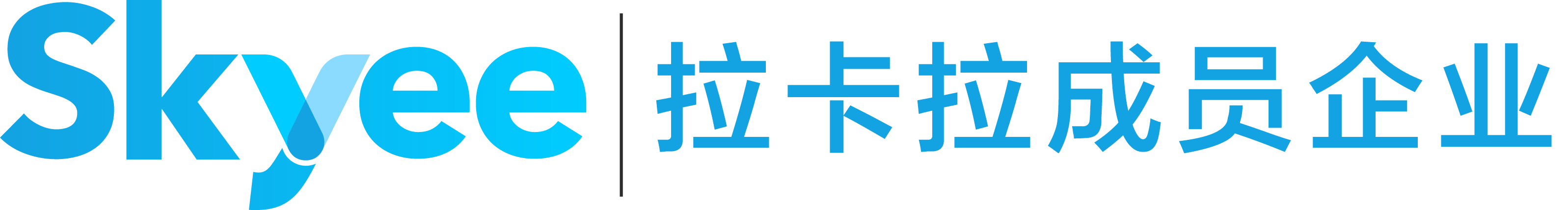Skyee 拉卡拉成员企业